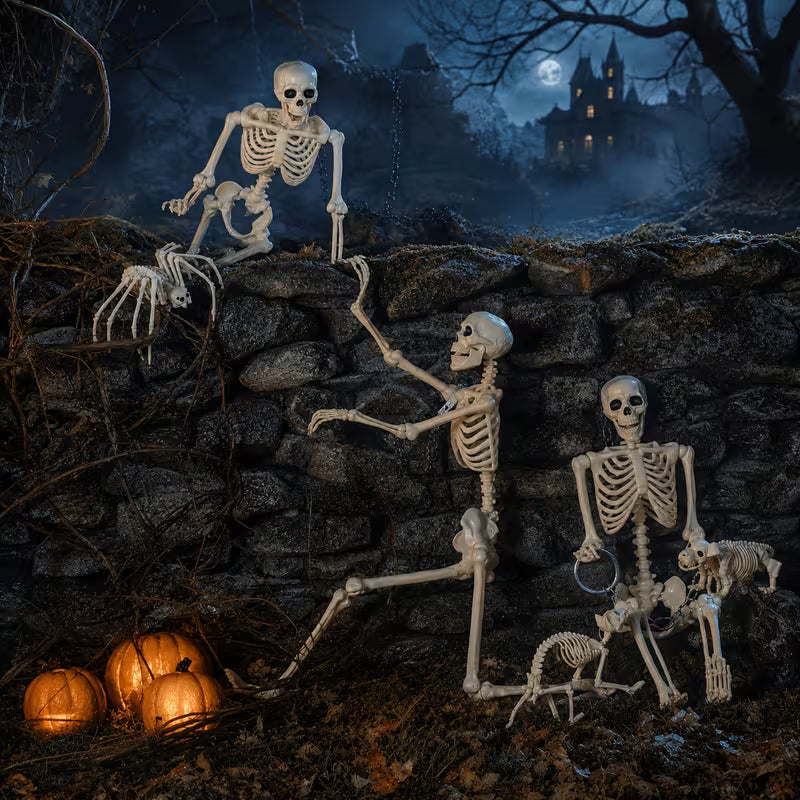 5.4 Ft Life-Size Poseable Skeleton Halloween Decoration